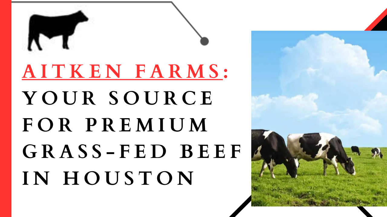 Aitken Farms -  Source for Premium Grass-Fed Beef
