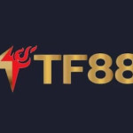 TF88 TF88best Profile Picture