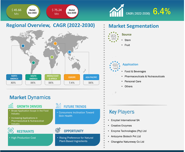 Bromelain Market Size Analysis | Industry & Trends 2030