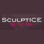SculptICE profile picture