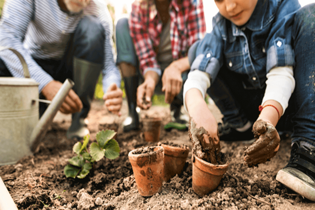 Learn about the benefits of gardening with Mom I Can