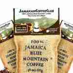 Jamaican Blue Mountain Coffee Profile Picture