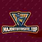 Majortotosite Top Profile Picture