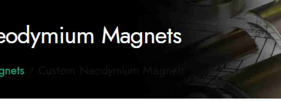 magnet stek Cover Image