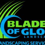 Blades Glory Profile Picture