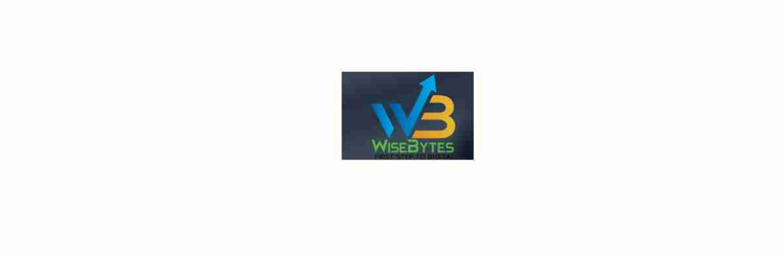 WISEBYTES SOLUTIONS INC Cover Image