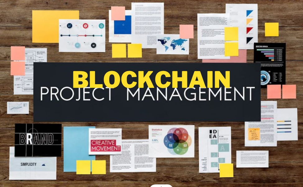 9/100 - Blockchain Project Manager | Web3 Project Manager Role Explained