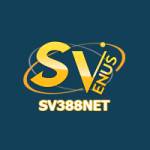 SV388 NETCOM Profile Picture