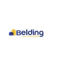 Belding Tank Technologies Inc Profile Picture