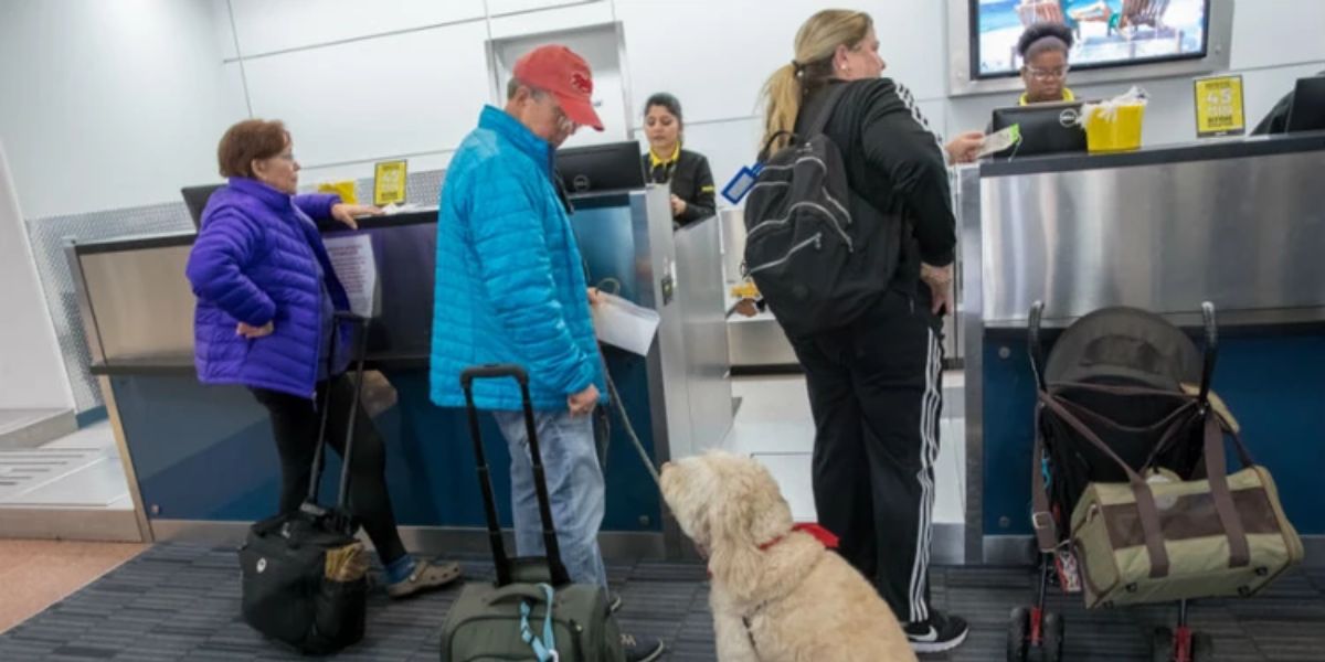 Southwest Airlines Pet Policy - Championairlines