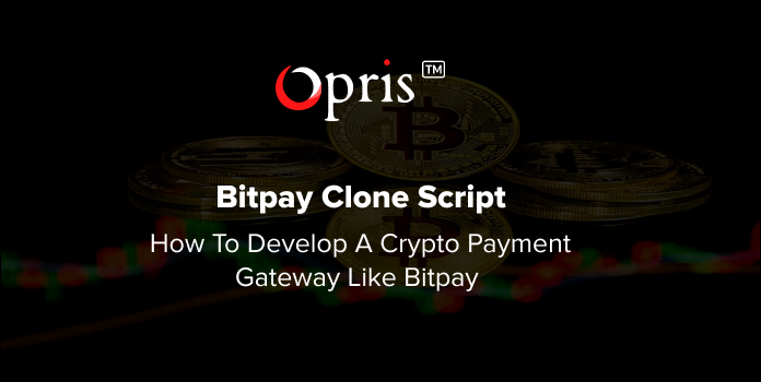How to Develop a Crypto Payment Gateway Like Bitpay