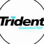 Trident Guaranteed Rent HMO Profile Picture
