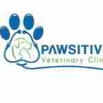 pawsitive clinic Profile Picture