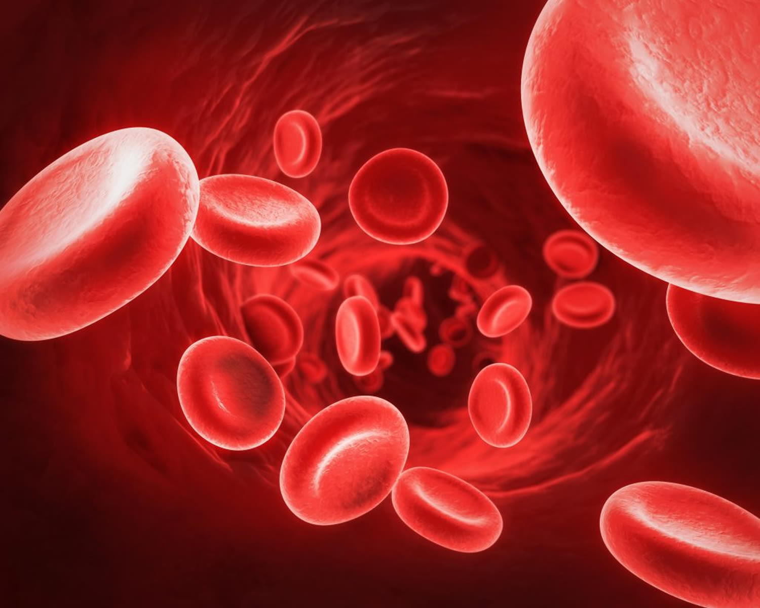 MCHC Mysteries: Demystifying the Role in Your Blood Test - SuperAlimentos.Pro