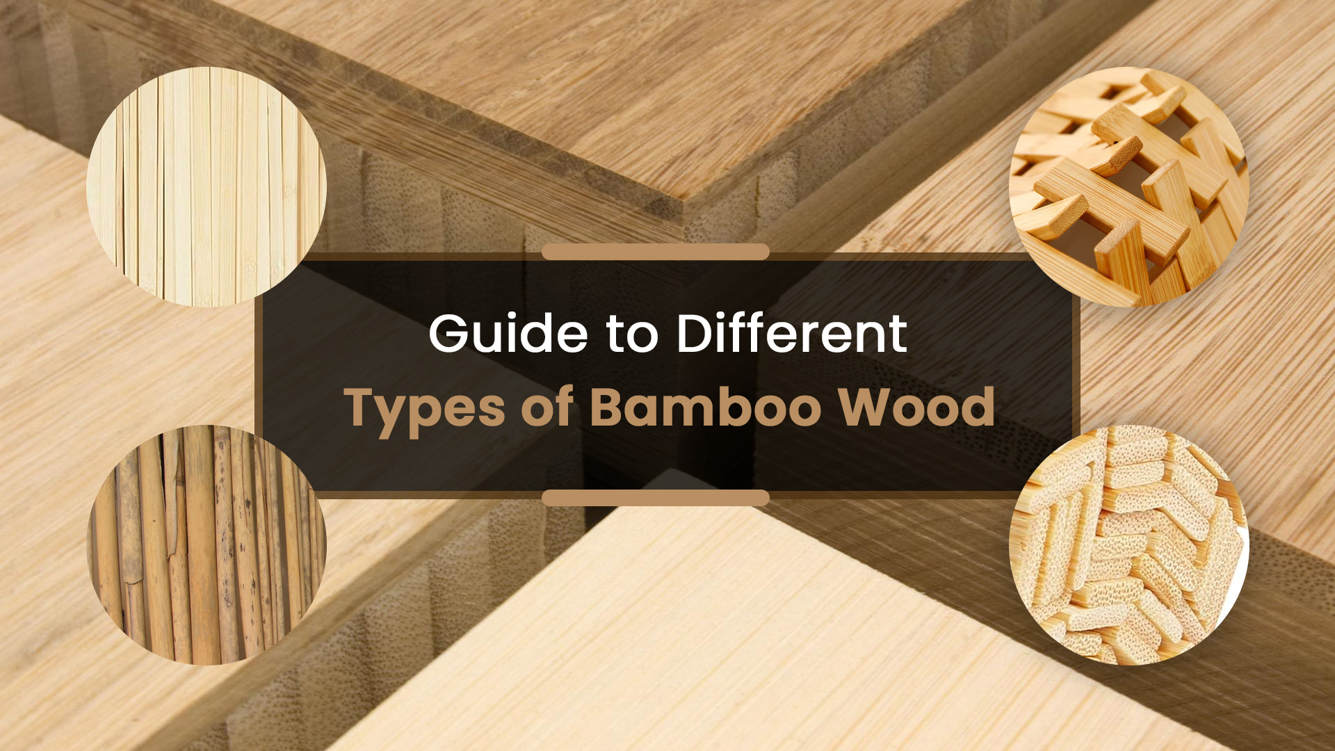 13 Types of Bamboo Wood for Timber and Landscaping