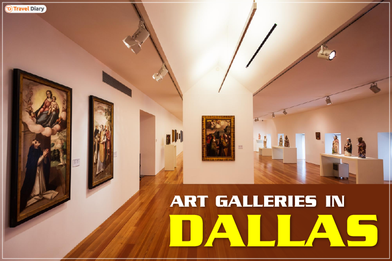 7 Best Art Galleries in Dallas for an Insightful Trip