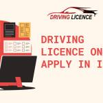 Driving Licence Profile Picture