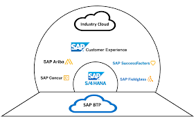 SAP Ecosystem: From Modules to Solutions - Softat