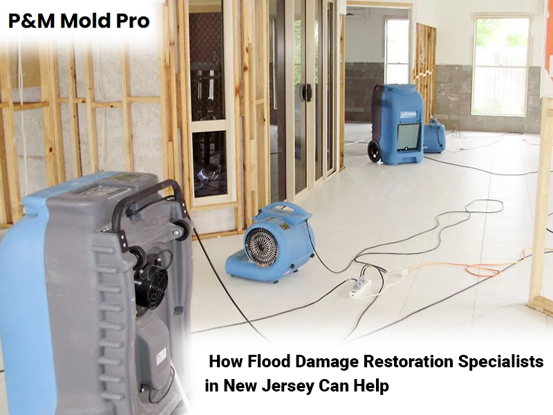 How Flood Damage Restoration Specialists in New Jersey Can Help - P&M Mold Pro