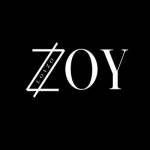 Loyzo Retails India Private Limited Profile Picture