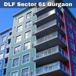 DLF Sector 61 Gurgaon Profile Picture
