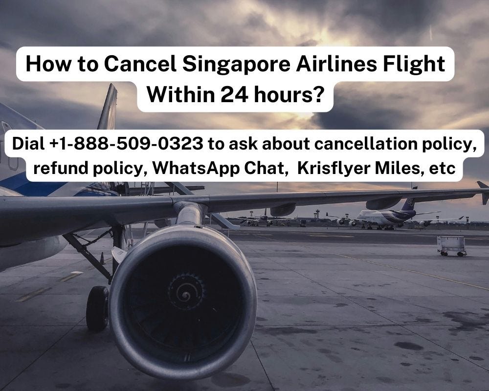 How to Cancel Singapore Airlines Flight Within 24 hours? | by Alexalexgender | Mar, 2024 | Medium
