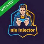 Nix Injector Profile Picture