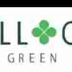 hillock green Profile Picture