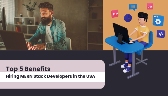 Top 5 Benefits of Hiring MERN Stack Developers in the USA | NancyWeb