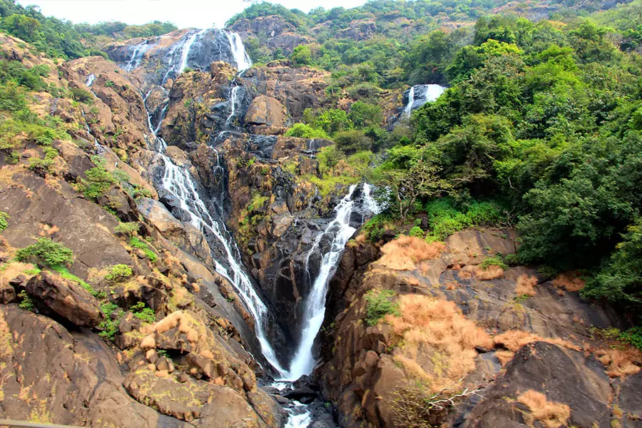 Dudhsagar Waterfalls Goa - Things to do, How to Reach, Activities