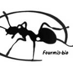 Fourmis Bio Profile Picture