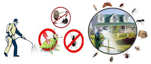 Pest Control Services in Rockville Centre | A1 Howie’s Exterminating