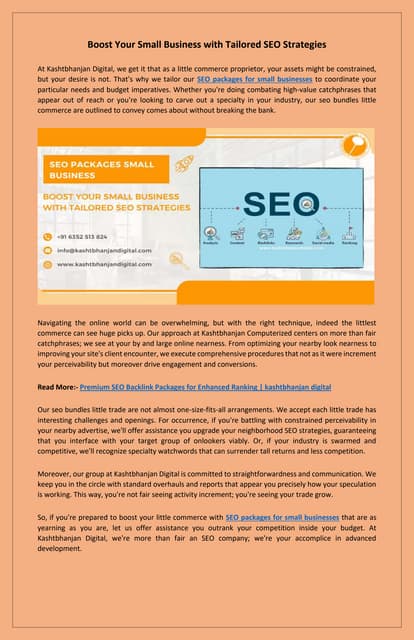 SEO Packages for Small Businesses: Maximize Your Digital Reach | PDF