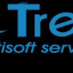 Treemultisoft Services Profile Picture