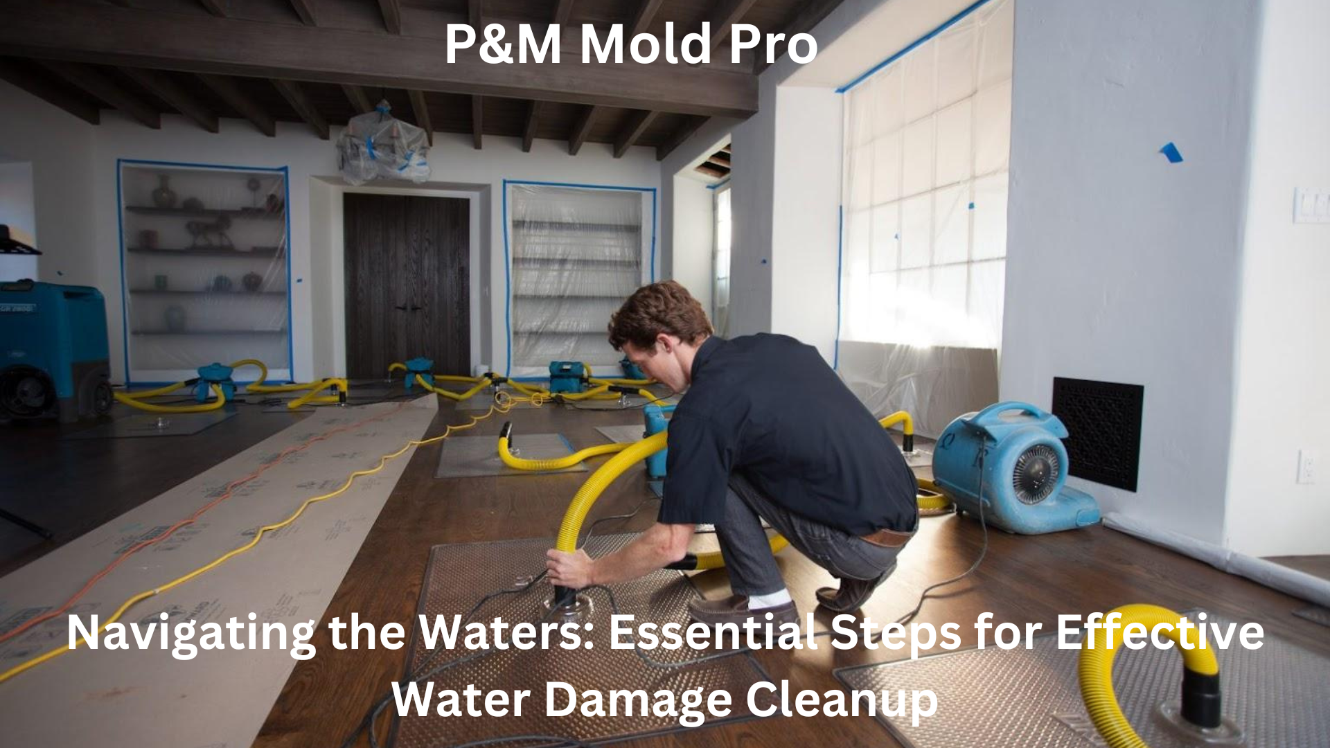 Navigating the Waters: Essential Steps for Effective Water Damage Cleanup - P&M Mold Pro