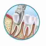 Troyhoover Dentist Profile Picture