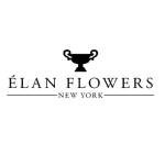 Elan Flowers Profile Picture