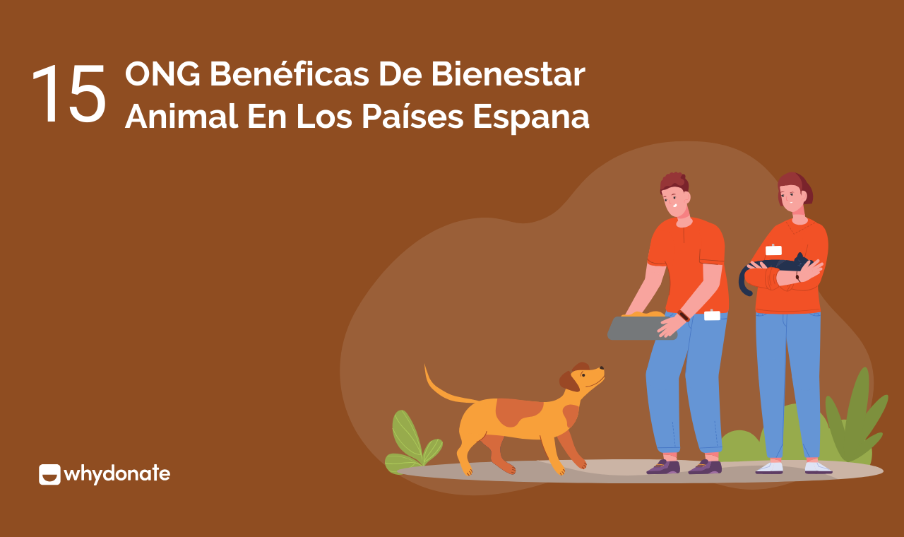 Las 15 Mejores ONG Bienestar Animal Espana | WhyDonate