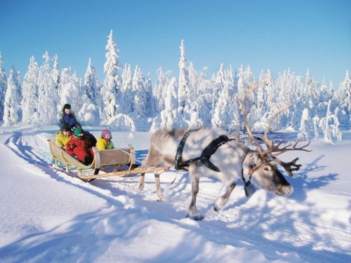 Why Ranua Tours is a Must On A Lapland Safari – Finland Local Guide