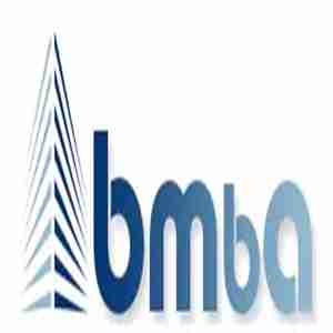 BMBA Consulting Profile Picture