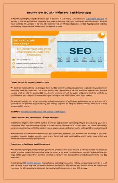 Affordable SEO Backlink Services to Increase Online Visibility | PDF