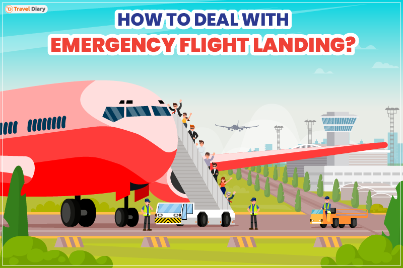Explore What to Know about Emergency Landings