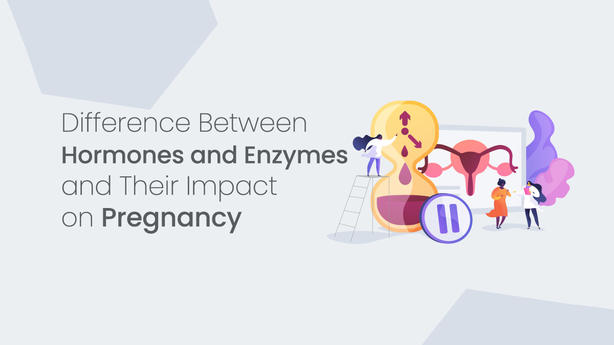 Hormones vs. Enzymes: Their Unique Roles in Pregnancy