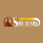 Pandit Sri Hari Profile Picture