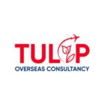 Tulip Overseas Consultancy Profile Picture
