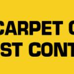 Dinnos Carpet Cleaning Pest Control Profile Picture