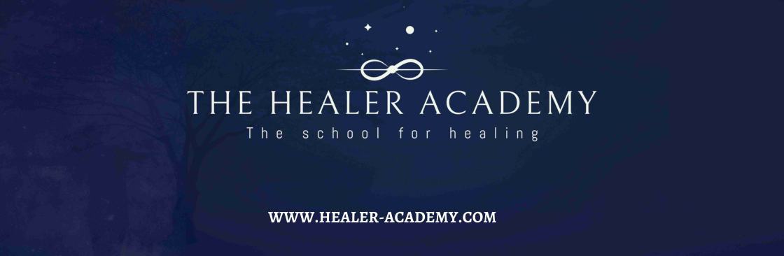 The Healer Academy Cover Image