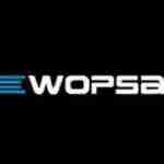 wopsaweb service Profile Picture