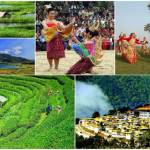 assam honeymoon packages Profile Picture
