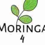 Moringa South Africa Profile Picture